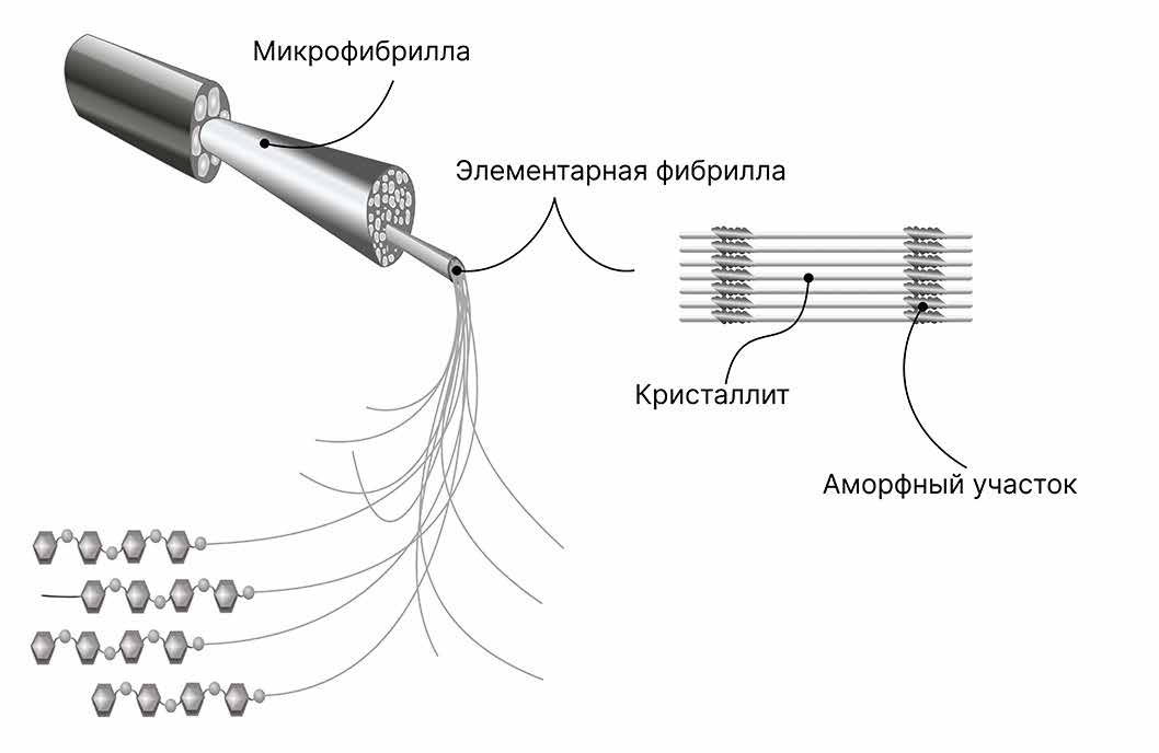 Рис. 2